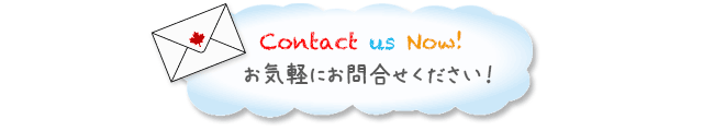 お気軽にお問い合わせください！